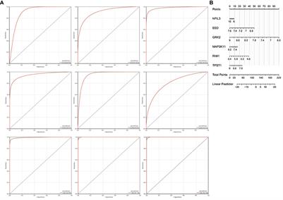 Corrigendum: Identification of immune-related genes in diagnosing atherosclerosis with rheumatoid arthritis through bioinformatics analysis and machine learning